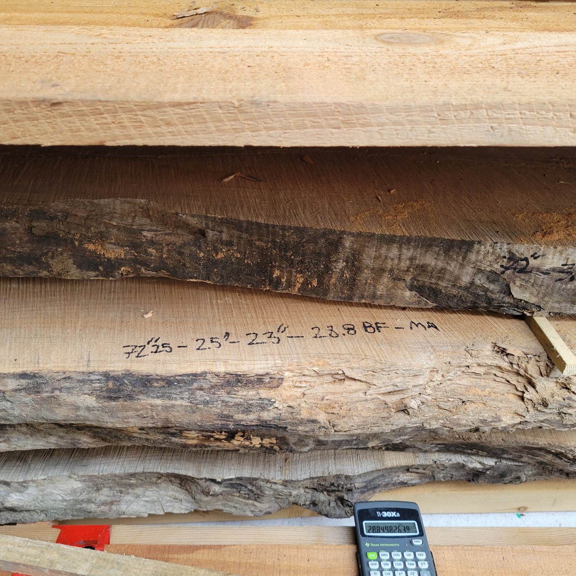 Big Leaf Maple